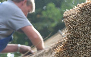 professional Dunning thatchers